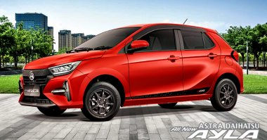 Warna Compagno Red